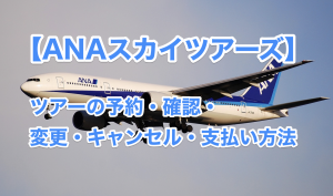 anaスカイツアーズ予約まとめ