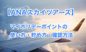 ANAスカイツアーズのマイホリデーポイント
