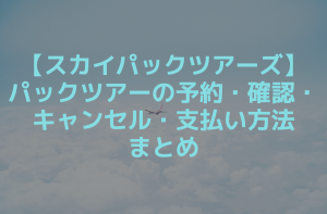 スカイパックツアーズの予約方法まとめ