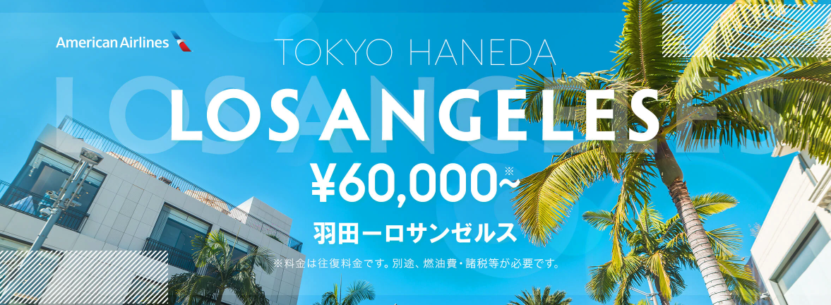 スカイチケット(Skyticket)のアメリカン航空の限定プラン予約キャンペーン